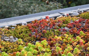 the cost of Holt Park green roof installation