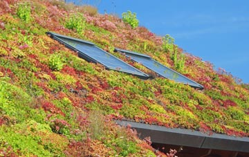 Holt Park living roof systems